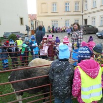 Zkladn organizace SCH ze atce pipravila ukzku zvectva. 