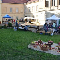 Pohled na zahradu Kovy vily pi Ovocnsk vstav III.